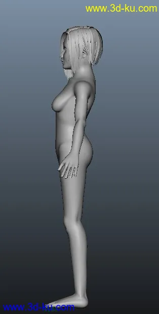 一个女人体模型的图片5