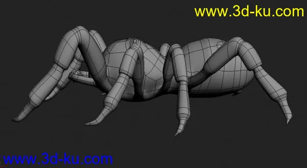 蜘蛛模型的图片4