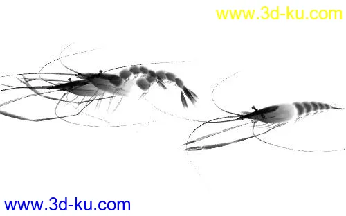 小虫子螃蟹加一个水墨虾模型的图片2