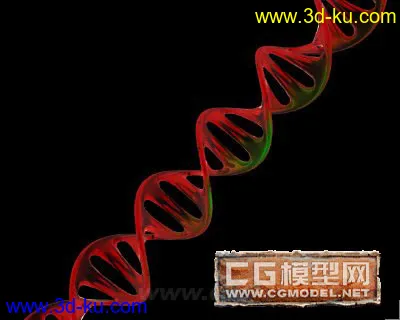 DNA结构模型的图片1