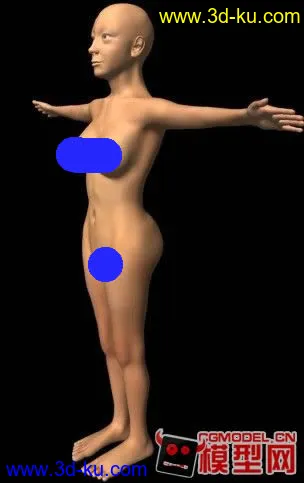 女人体模型的图片1