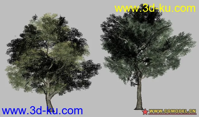 两款游戏用简模树模型的图片1