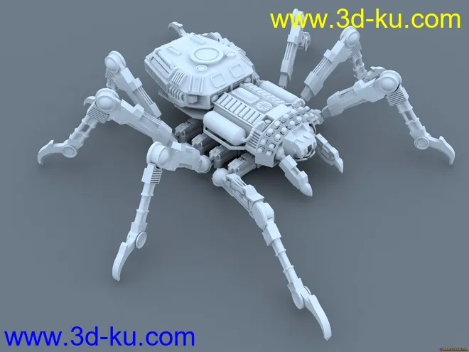 一只小蜘蛛模型的图片1
