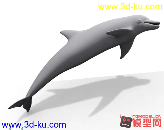 海豚 原创模型的图片1