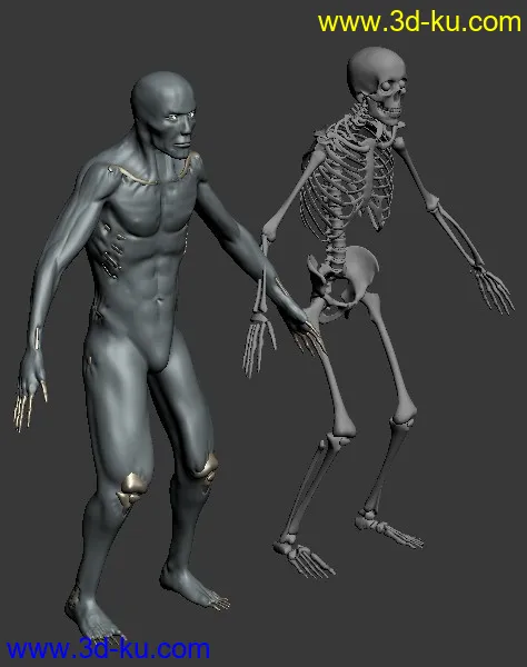 一个怪物高模和全身骨骼骨架模型的图片3