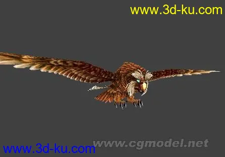 鹰模型的图片1