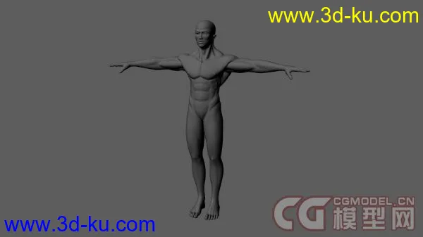 人体肌肉男模型的图片1