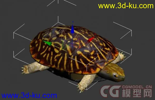 3D动物（狗，老鹰，乌龟）模型下载的图片1