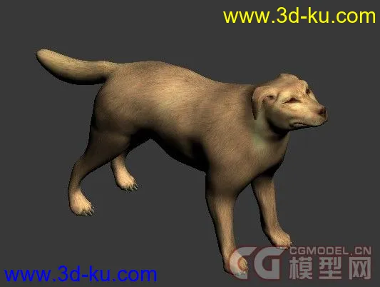 3D动物（狗，老鹰，乌龟）模型下载的图片2