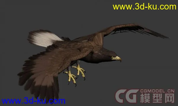 3D动物（狗，老鹰，乌龟）模型下载的图片3