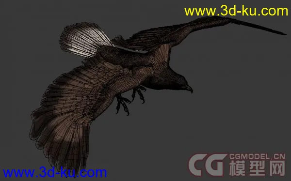 3D动物（狗，老鹰，乌龟）模型下载的图片4