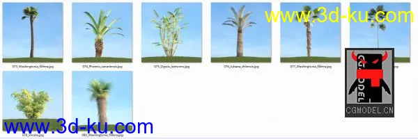 80套低面树木植物3D模型合辑的图片5