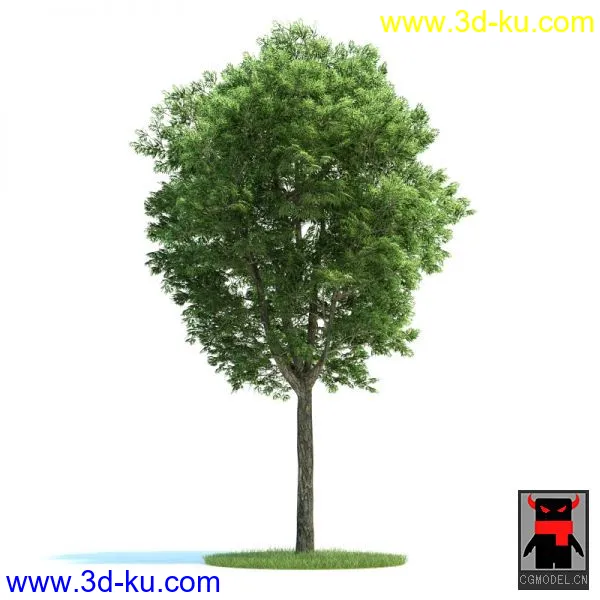 树02.3.4模型的图片3