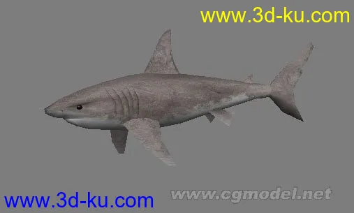 游戏鲨鱼一条模型的图片1
