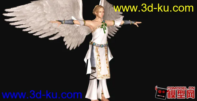 天使 铁拳TT2 模型，下载的图片2