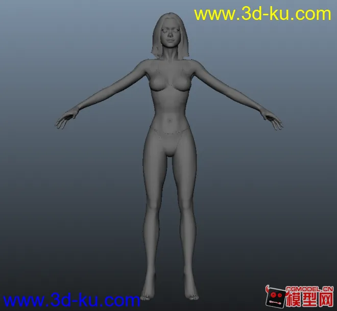 女人人体模型的图片1