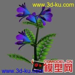 紫花檀香草模型的图片1