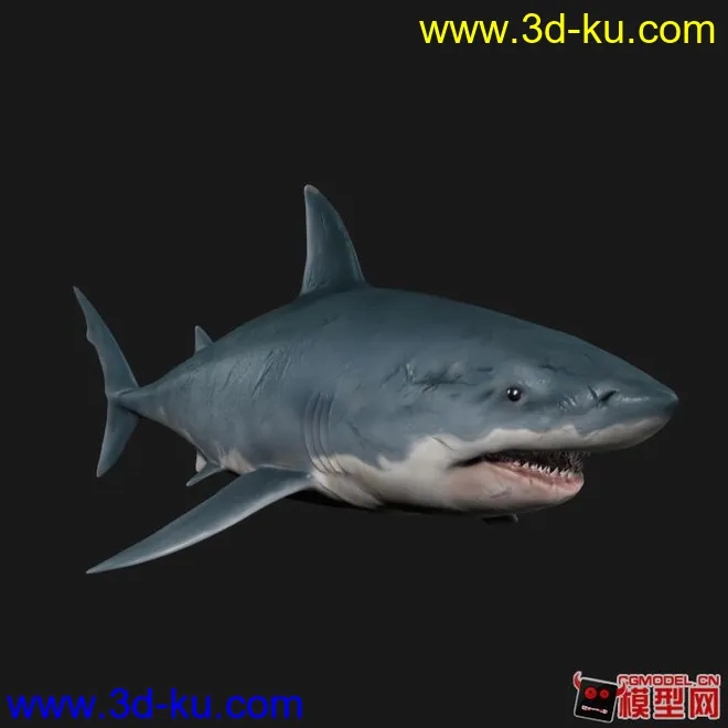 鲨鱼模型，SSS材质贴图，需要的请下载的图片1