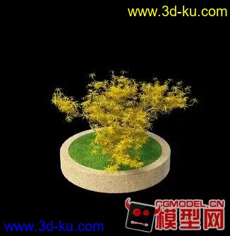 花坛 树 精模模型的图片1