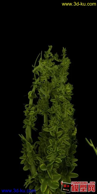 植物生长动画模型的图片3