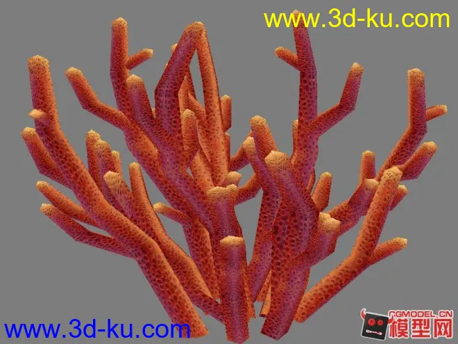 珊瑚模型的图片1