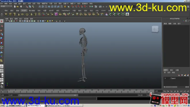 人体骨骼模型的图片2