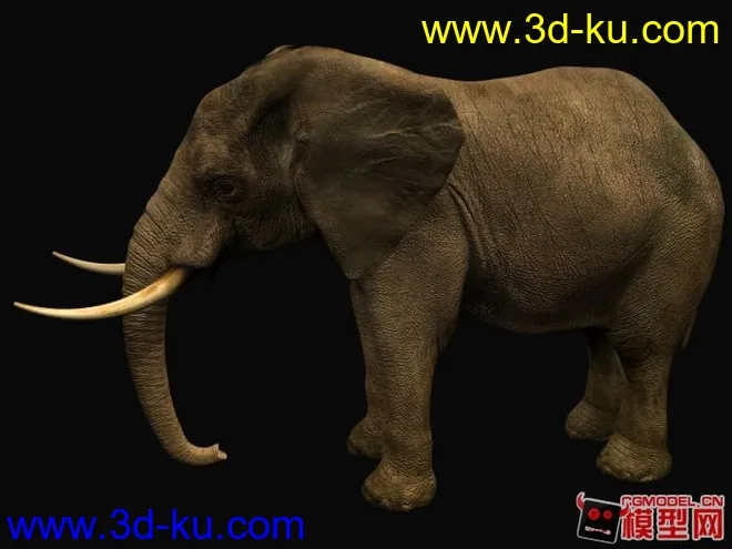 逼真写实的大象模型的图片1