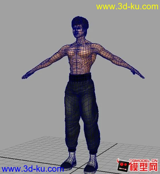 Bruce-Lee模型的图片2