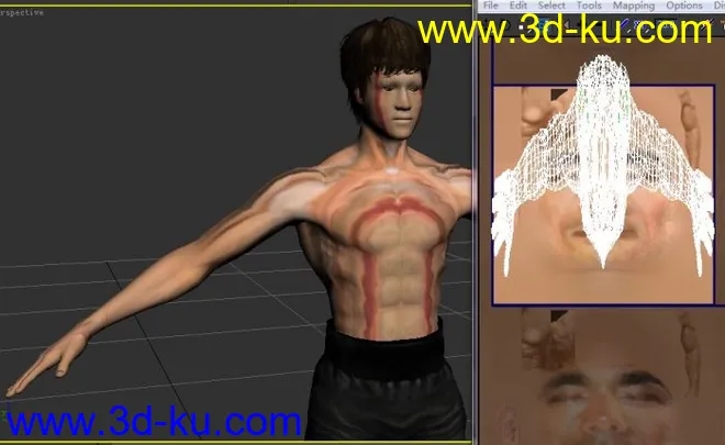 Bruce-Lee模型的图片3