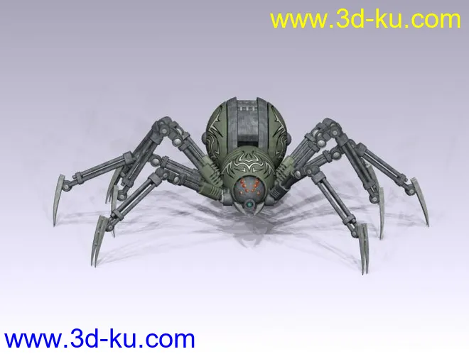 蜘蛛模型的图片1