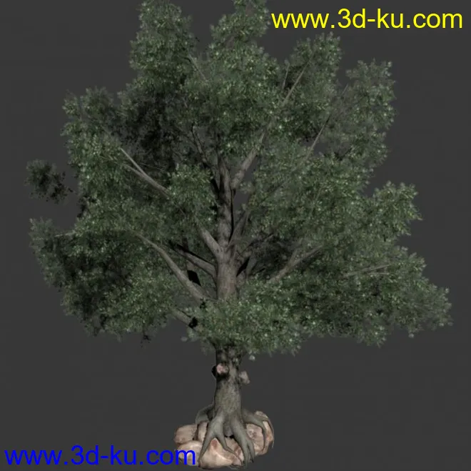 树  模型加透明贴图的图片1