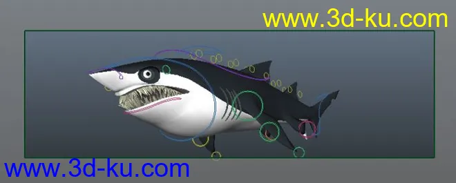 鲨鱼模型的图片1