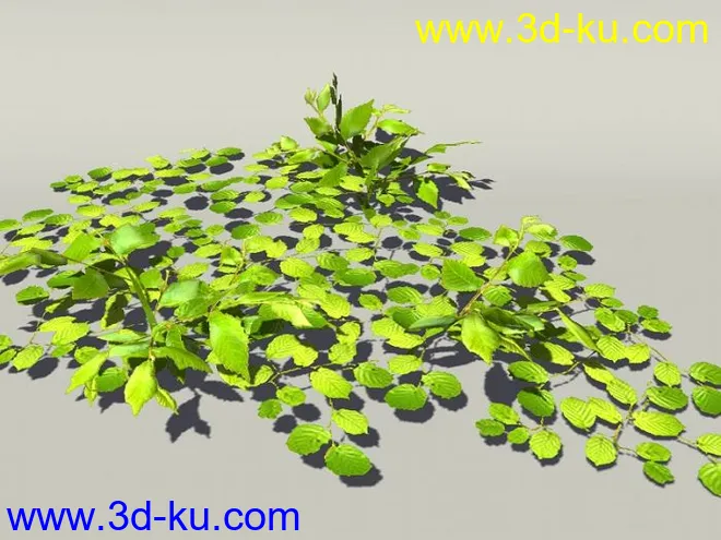 G:3D模型《欧式树木植物3D模型合辑》的图片2