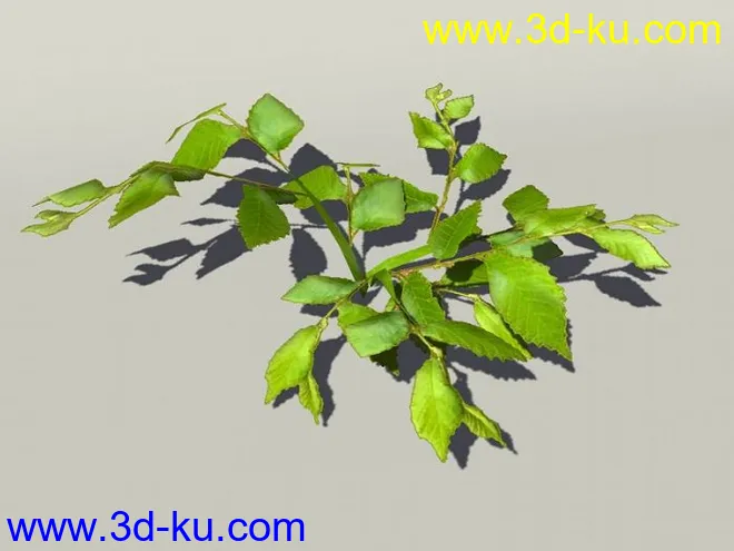 G:3D模型《欧式树木植物3D模型合辑》的图片5