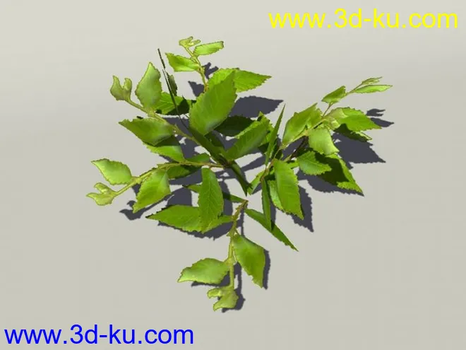 G:3D模型《欧式树木植物3D模型合辑》的图片6