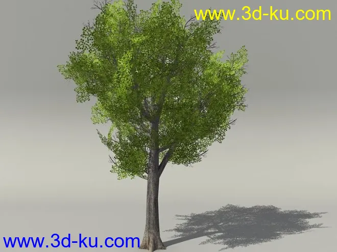 G:3D模型《欧式树木植物3D模型合辑》的图片7