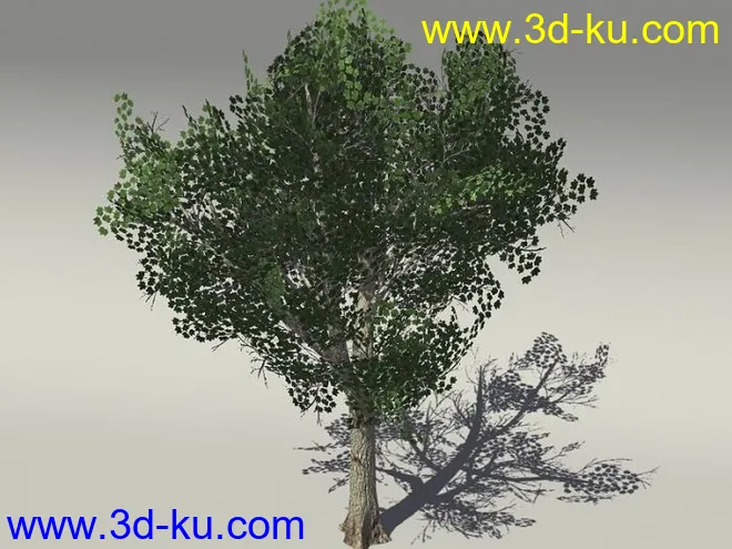 G:3D模型《欧式树木植物3D模型合辑》的图片8