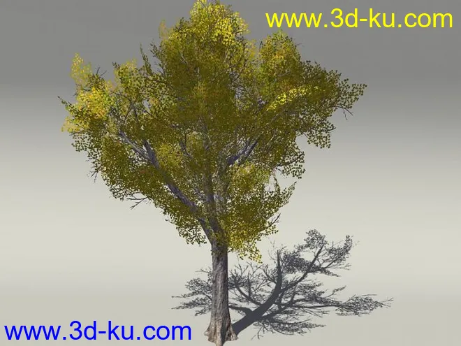 G:3D模型《欧式树木植物3D模型合辑》的图片9