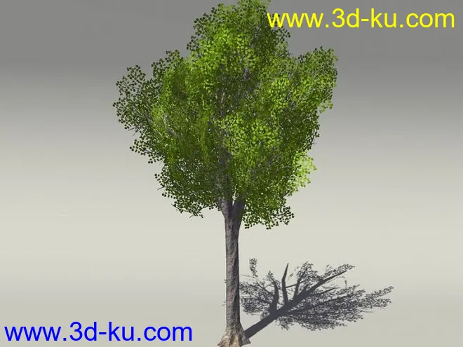 G:3D模型《欧式树木植物3D模型合辑》的图片10