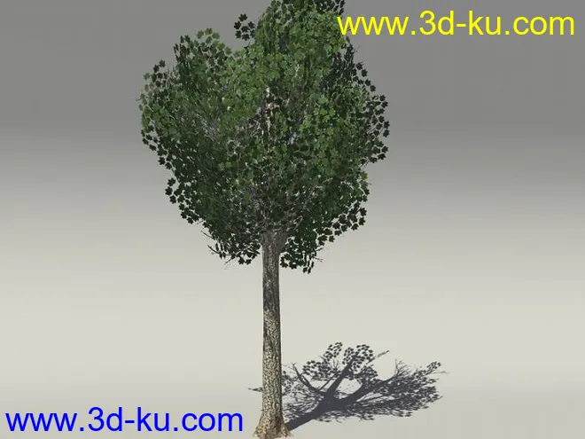 G:3D模型《欧式树木植物3D模型合辑》的图片11
