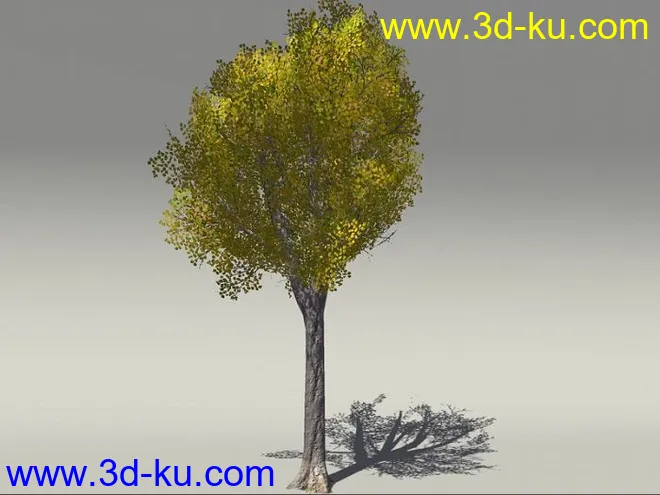 G:3D模型《欧式树木植物3D模型合辑》的图片13