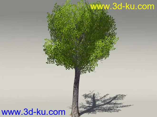 G:3D模型《欧式树木植物3D模型合辑》的图片14