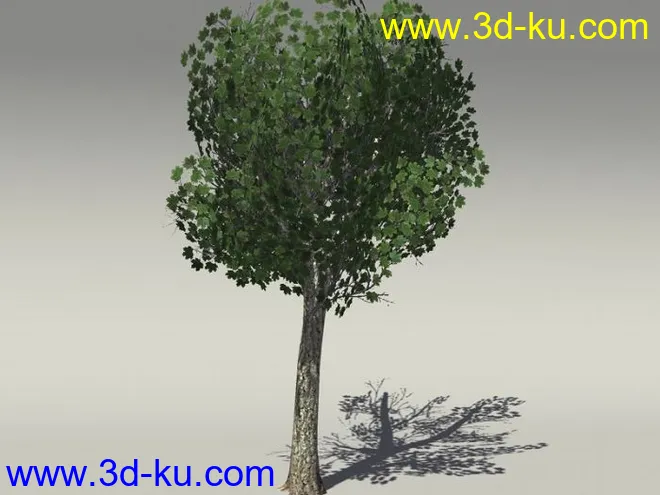 G:3D模型《欧式树木植物3D模型合辑》的图片15