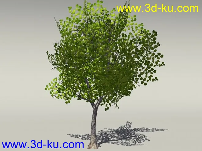 G:3D模型《欧式树木植物3D模型合辑》的图片17