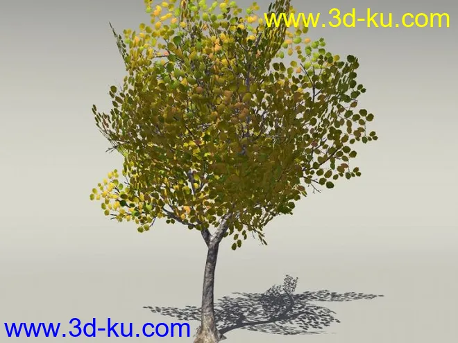 G:3D模型《欧式树木植物3D模型合辑》的图片19