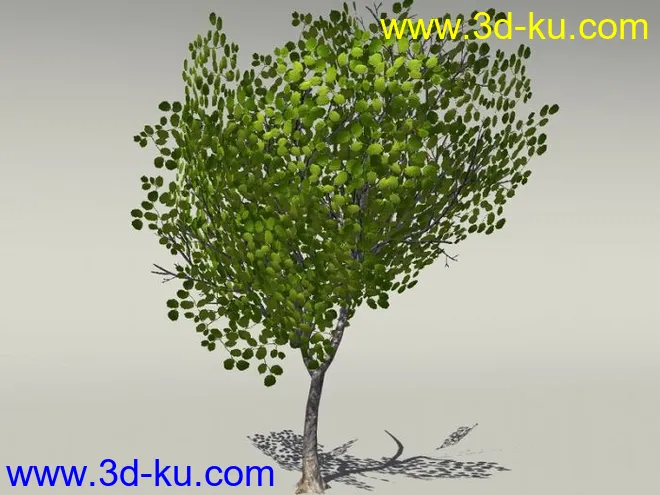 G:3D模型《欧式树木植物3D模型合辑》的图片20