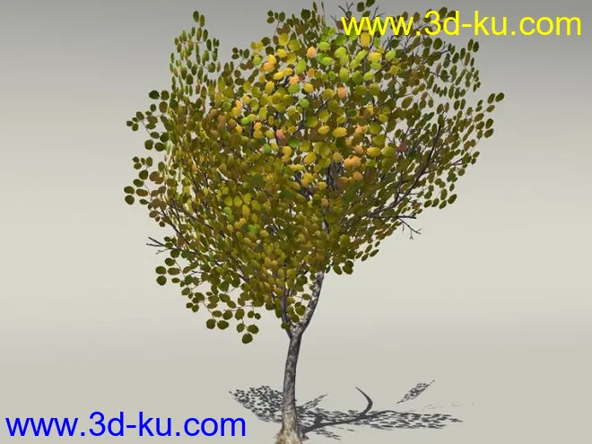 G:3D模型《欧式树木植物3D模型合辑》的图片22