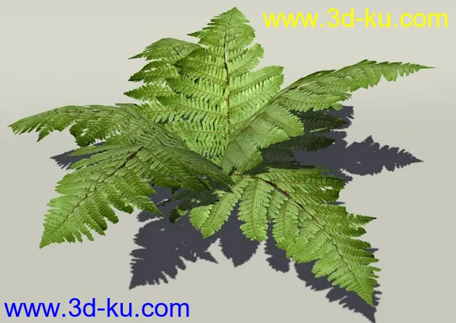 G:3D模型《欧式树木植物3D模型合辑》的图片23