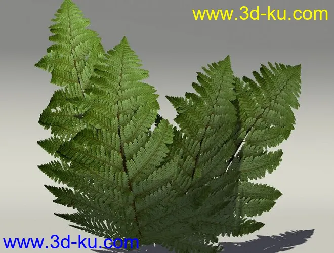G:3D模型《欧式树木植物3D模型合辑》的图片24