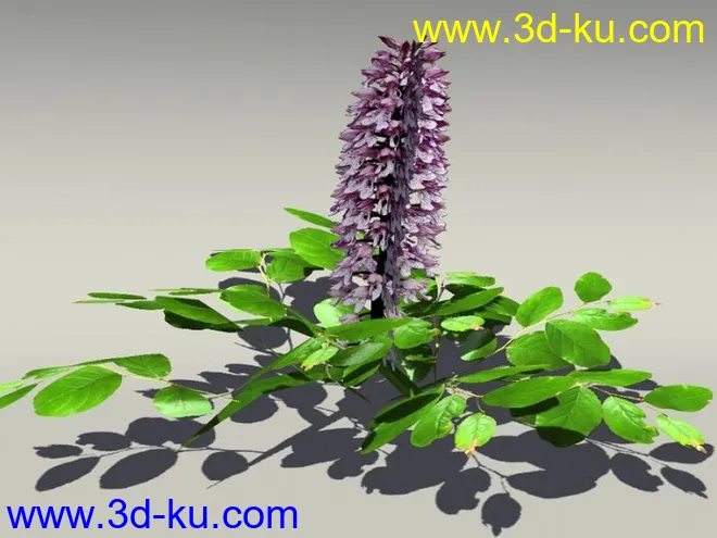 G:3D模型《欧式树木植物3D模型合辑》的图片26